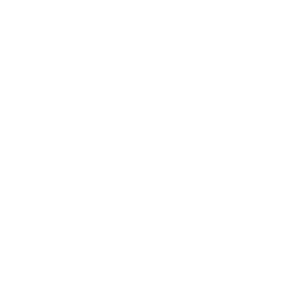 4 Mega Campuses